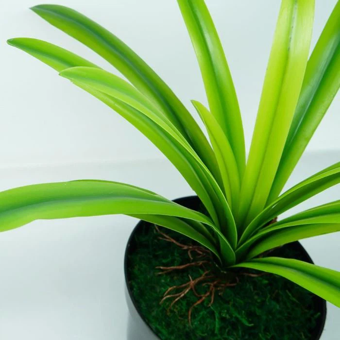 458f781ef0aea0a7569352ea5b7b00e2