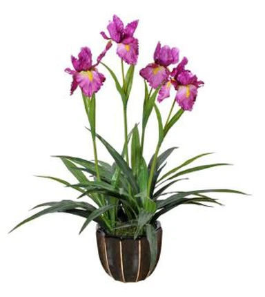Künstliche Cattleya-Orchideenanlage