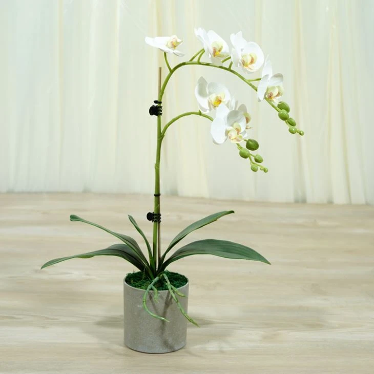 2 Stiele Seide gefälschte Orchideen Real Touch Blumen