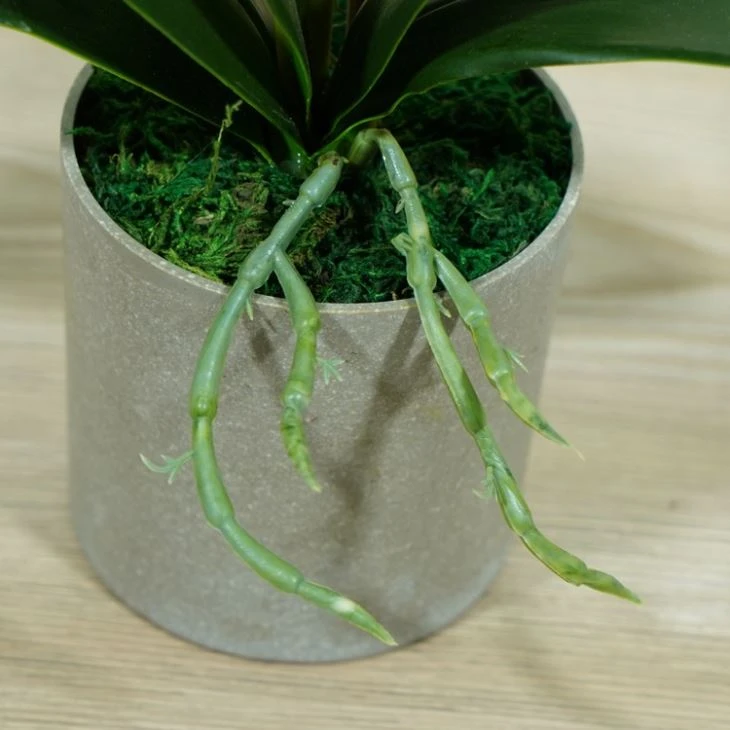 2 Stems Silk Fake Orchids Real Touch Flowers