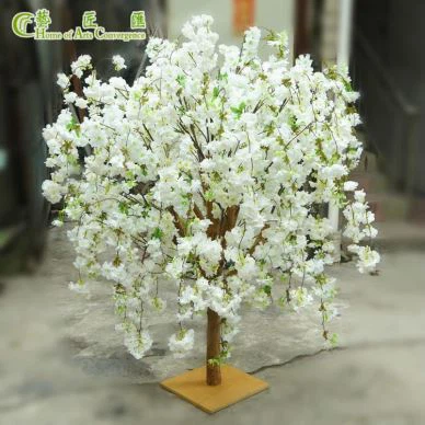 Seidenweinender Kirschbaum